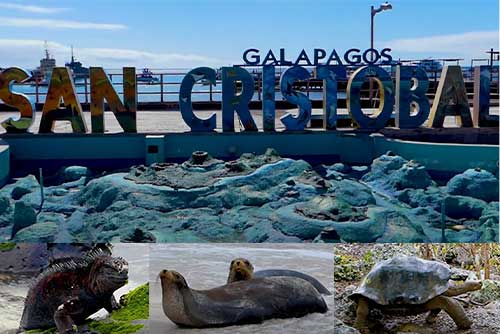 Galapagos